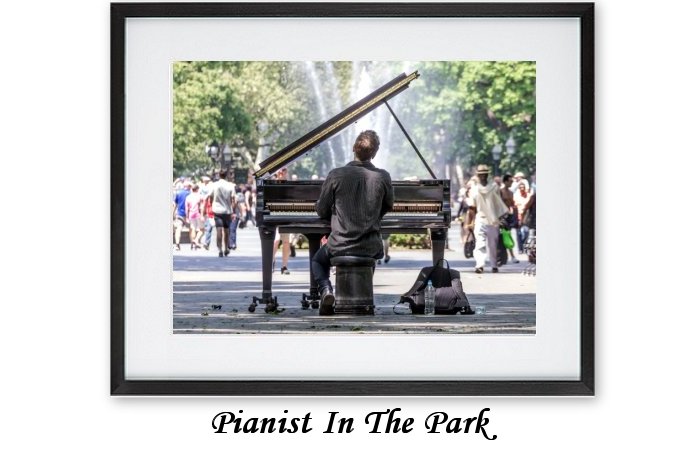 Pianist In The Park